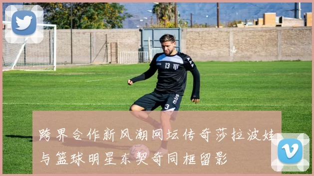 跨界合作新风潮网坛传奇莎拉波娃与篮球明星东契奇同框留影